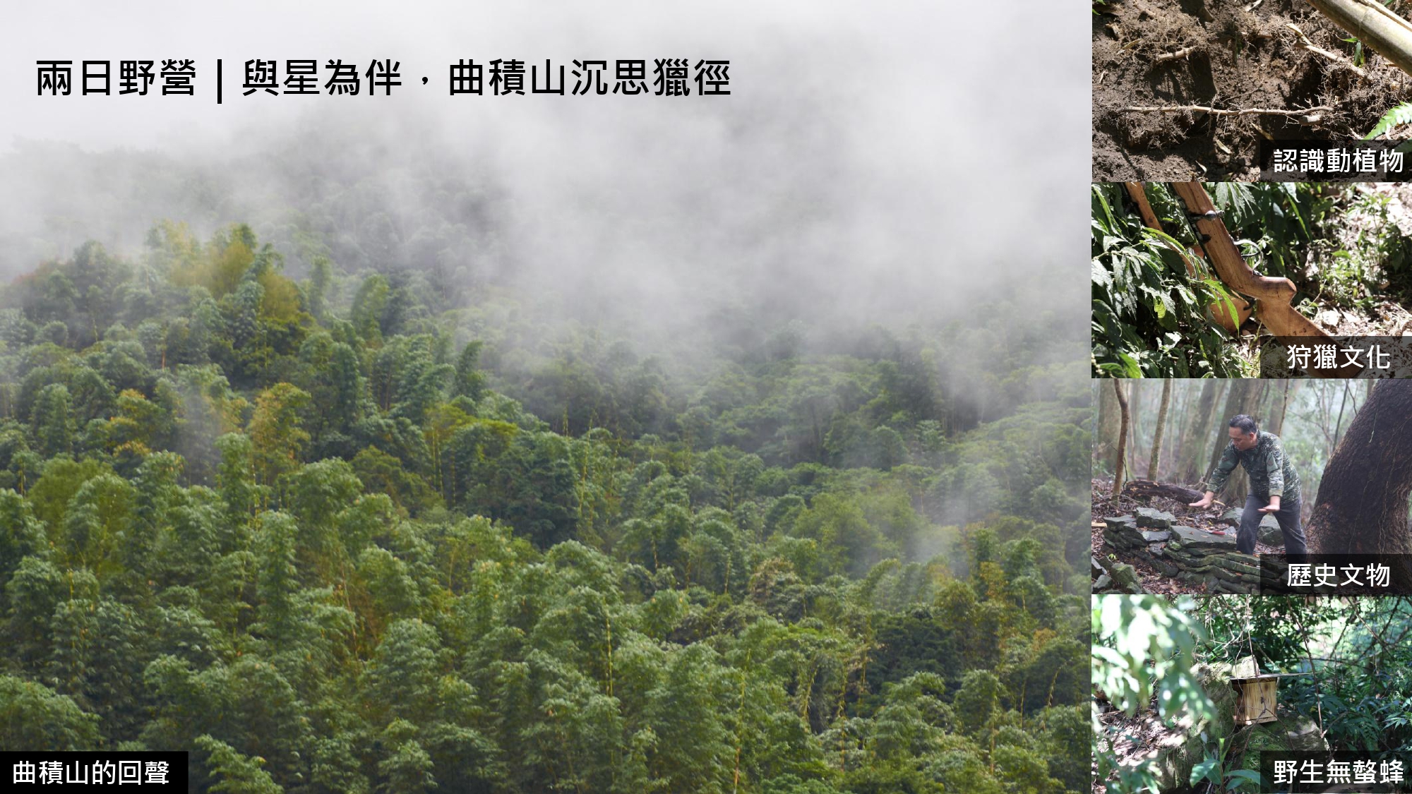 無螫蜂生態導覽